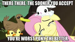 Size: 1280x720 | Tagged: safe, banned from derpibooru, deleted from derpibooru, derpibooru import, angel bunny, fluttershy, abuse, background pony strikes again, caption, crying, flutterbuse, image macro, obvious troll, text, troll, trollbait, worst pony