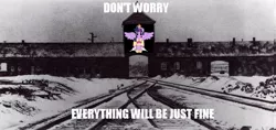 Size: 795x375 | Tagged: semi-grimdark, banned from derpibooru, deleted from derpibooru, derpibooru import, twilight sparkle, oc, alicorn, caption, concentration camp, drama, everything is going to be ok, holocaust, image macro, master ruseman, nazi, text, twilight sparkle (alicorn)