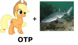 Size: 562x325 | Tagged: safe, banned from derpibooru, deleted from derpibooru, derpibooru import, applejack, shark, exploitable meme, female, male, meme, otp, shipping, spiny dogfish, straight, text, wat