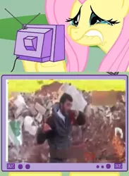 Size: 563x771 | Tagged: grimdark, banned from derpibooru, deleted from derpibooru, derpibooru import, fluttershy, cannibalism, exploitable meme, fluttercry, meme, obligatory pony, syria, tv meme