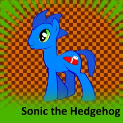 Size: 1024x1024 | Tagged: safe, artist:timewarp33, banned from derpibooru, deleted from derpibooru, derpibooru import, ponified, pony, delete, image, joke, meta, png, solo, sonic the hedgehog, sonic the hedgehog (series), spoilered image joke