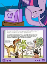 Size: 563x771 | Tagged: safe, banned from derpibooru, deleted from derpibooru, derpibooru import, twilight sparkle, dinosaur, monkey, adam, banana, ceratosaurus, creationism, deinonychus, dinosaurs of eden, drama, eve, exploitable meme, facehoof, food, garden of eden, homophobia, ken ham, lemon, meme, nudity, obligatory pony, religion, religious argument, seems legit, tv meme, wat