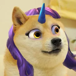 Size: 563x563 | Tagged: safe, banned from derpibooru, deleted from derpibooru, derpibooru import, edit, ashia (filly funtasia), doge, filly funtasia, image, jpeg