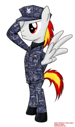 Size: 685x1166 | Tagged: safe, artist:orang111, banned from derpibooru, deleted from derpibooru, derpibooru import, oc, unofficial characters only, pegasus, bipedal, camouflage, cap, clothes, hat, male, military, navy, solo, stallion, uniform, united states, united states navy