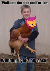 Size: 500x712 | Tagged: safe, banned from derpibooru, deleted from derpibooru, derpibooru import, scootaloo, bird, chicken, human, caption, chickun, child, exploitable meme, faic, forced meme, image macro, irl, irl human, meme, photo, rooster, text