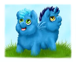 Size: 973x798 | Tagged: safe, artist:whelpsy, banned from derpibooru, deleted from derpibooru, derpibooru import, oc, earth pony, fluffy pony, unicorn, bluey, conjoined, conjoined twins, fluffy pony original art, image, multiple heads, png, pushmi-pullyu, twins, two heads, weird