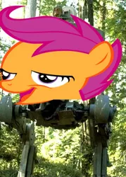 Size: 290x406 | Tagged: safe, banned from derpibooru, deleted from derpibooru, derpibooru import, scootaloo, chickun, exploitable meme, faic, forced meme, meme