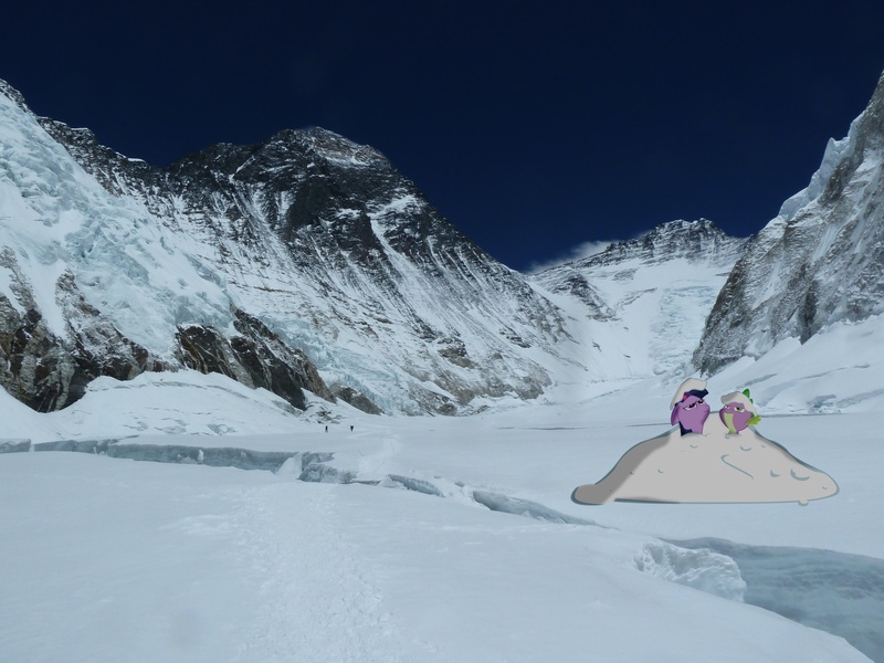 Size: 4000x3000 | Tagged: safe, artist:laopokia, artist:otfor2, banned from derpibooru, deleted from derpibooru, derpibooru import, spike, twilight sparkle, pony, irl, mount everest, mountain, photo, ponies in real life, snow, the magic mountain of cocaine, vector