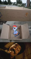 Size: 1280x2410 | Tagged: safe, banned from derpibooru, deleted from derpibooru, derpibooru import, rainbow dash, fanfic:my little dashie, black dynamite, dashie meme, exploitable meme, good people finding dash meme, meme, obligatory pony