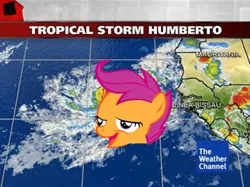 Size: 557x416 | Tagged: safe, banned from derpibooru, deleted from derpibooru, derpibooru import, scootaloo, chickun, chickunberto, exploitable meme, faic, forced meme, humberto, hurricane, hurricane humberto, meme