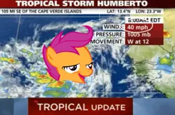 Size: 731x481 | Tagged: safe, banned from derpibooru, deleted from derpibooru, derpibooru import, scootaloo, chickun, chickunberto, exploitable meme, faic, forced meme, humberto, hurricane, hurricane humberto, meme