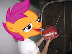Size: 259x194 | Tagged: safe, banned from derpibooru, deleted from derpibooru, derpibooru import, scootaloo, chickun, exploitable meme, faic, forced meme, gas can, meme