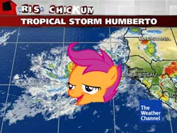 Size: 557x416 | Tagged: safe, banned from derpibooru, deleted from derpibooru, derpibooru import, scootaloo, africa, caption, chickun, chickunberto, expand dong, exploitable meme, faic, forced meme, hurricane, hurricane humberto, image macro, meme, weather