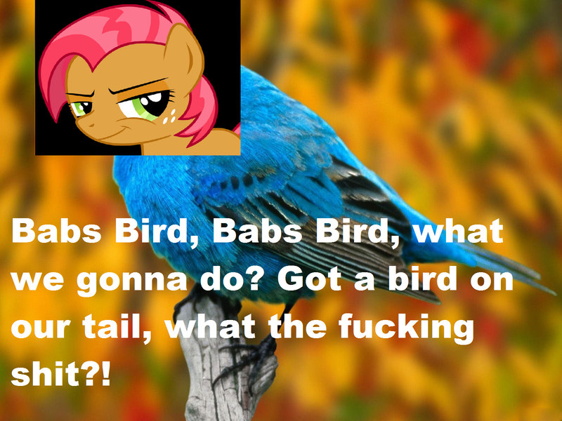 Size: 1600x1200 | Tagged: safe, banned from derpibooru, deleted from derpibooru, derpibooru import, edit, babs seed, bird, 1000 hours in ms paint, vulgar, wat the fuck