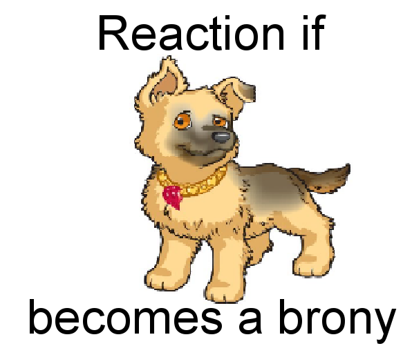 Size: 596x501 | Tagged: safe, banned from derpibooru, deleted from derpibooru, derpibooru import, dog, exploitable meme, magic, meme, meta, puppy in my pocket, reaction if, reaction if x becomes a brony, text