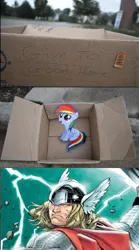 Size: 502x900 | Tagged: safe, banned from derpibooru, deleted from derpibooru, derpibooru import, rainbow dash, fanfic:my little dashie, dashie meme, exploitable meme, good people finding dash meme, marvel, meme, obligatory pony, thor