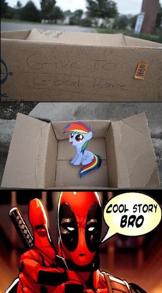 Size: 497x900 | Tagged: safe, banned from derpibooru, deleted from derpibooru, derpibooru import, human, fanfic:my little dashie, best dad ever, dashie meme, deadpool, evil people finding dash meme, exploitable meme, good people finding dash meme, marvel, meme, obligatory pony