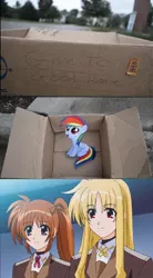 Size: 497x900 | Tagged: safe, banned from derpibooru, deleted from derpibooru, derpibooru import, rainbow dash, fanfic:my little dashie, dashie meme, exploitable meme, fate testarossa, good people finding dash meme, magical girl lyrical nanoha, meme, nanoha takamichi, obligatory pony