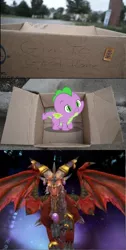 Size: 502x1000 | Tagged: safe, banned from derpibooru, deleted from derpibooru, derpibooru import, spike, alexstrasza, baby, baby spike, dashie meme, exploitable meme, good people finding dash meme, good people finding spike meme, meme, obligatory pony, warcraft, younger