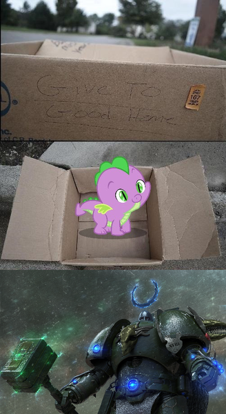 Size: 502x919 | Tagged: safe, banned from derpibooru, deleted from derpibooru, derpibooru import, spike, fanfic:my little dashie, dashie meme, exploitable meme, good people finding dash meme, good people finding spike meme, hammer, meme, my little spikie, obligatory pony, powered exoskeleton, primarch, salamanders, space marine, thunder hammer, vulkan, war hammer, warhammer 30k, warhammer 40k, warhammer (game), weapon