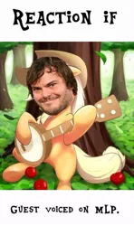 Size: 500x847 | Tagged: safe, banned from derpibooru, deleted from derpibooru, derpibooru import, exploitable meme, guest voice, jack black, meme, meta, reaction if