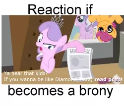 Size: 629x538 | Tagged: suggestive, banned from derpibooru, deleted from derpibooru, derpibooru import, diamond tiara, scootaloo, exploitable meme, forced meme, makes no sense, meme, meta, reaction if, reaction if x becomes a brony, shrug, text