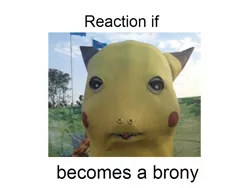 Size: 800x600 | Tagged: safe, banned from derpibooru, deleted from derpibooru, derpibooru import, pikachu, barely pony related, exploitable meme, forced meme, makes no sense, meme, meta, pokémon, reaction if, reaction if x becomes a brony, text, wat thread, wtf
