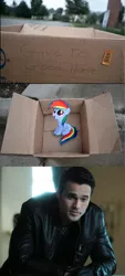 Size: 600x1331 | Tagged: safe, banned from derpibooru, deleted from derpibooru, derpibooru import, rainbow dash, agents of shield, agent ward, dashie meme, evil people finding dash meme, exploitable meme, good people finding dash meme, grant ward, meme, obligatory pony