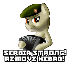 Size: 1000x1000 | Tagged: safe, artist:sparkdraws, banned from derpibooru, deleted from derpibooru, derpibooru import, ponified, pony, accordion, beret, dat face soldier, hat, musical instrument, remove kebab, serbia, serbia strong, solo
