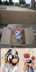 Size: 298x599 | Tagged: safe, banned from derpibooru, deleted from derpibooru, derpibooru import, rainbow dash, toad, fanfic:my little dashie, dr. mario, exploitable meme, good people finding dash meme, mario, meme, nintendo, obligatory pony, super mario bros.