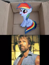 Size: 756x1006 | Tagged: safe, banned from derpibooru, deleted from derpibooru, derpibooru import, rainbow dash, fanfic:my little dashie, chuck norris, crying, dashie meme, exploitable meme, good people finding dash meme, manly tear, manly tears, meme, obligatory pony, tears of joy