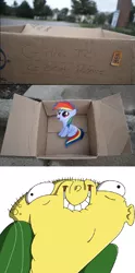 Size: 828x1676 | Tagged: safe, banned from derpibooru, deleted from derpibooru, derpibooru import, rainbow dash, fanfic:my little dashie, dashie meme, ed, ed edd n eddy, exploitable meme, female, filly, good people finding dash meme, meme, obligatory pony, this will not end well