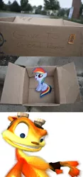 Size: 480x1024 | Tagged: safe, banned from derpibooru, deleted from derpibooru, derpibooru import, dashie meme, daxter, exploitable meme, good people finding dash meme, jak and daxter, meme, obligatory pony