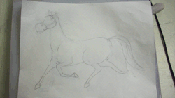 Size: 600x338 | Tagged: safe, artist:pikapetey, banned from derpibooru, deleted from derpibooru, derpibooru import, horse, animated, paper and pencil, solo, traditional animation, walkcycle