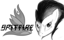 Size: 1280x800 | Tagged: safe, artist:jeki, banned from derpibooru, deleted from derpibooru, derpibooru import, spitfire, black & white, drawing, monochrome, solo, wallpaper