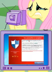 Size: 563x771 | Tagged: source needed, safe, banned from derpibooru, deleted from derpibooru, derpibooru import, fluttershy, crying, cryptolocker, exploitable meme, malware, meme, needs more jpeg, obligatory pony, solo, television, tv meme, virus
