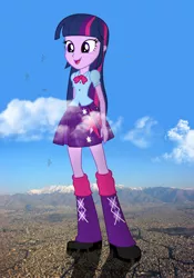 Size: 4200x6000 | Tagged: safe, artist:blazingcobaltda, artist:mewtwo-ex, banned from derpibooru, deleted from derpibooru, derpibooru import, edit, twilight sparkle, twilight sparkle (alicorn), alicorn, equestria girls, absurd resolution, blood, city, clothes, collage, destruction, female, giantess, macro, open mouth, plane, skirt, smiling, vector