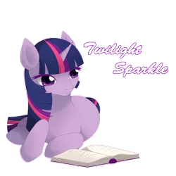 Size: 1000x1000 | Tagged: safe, banned from derpibooru, deleted from derpibooru, derpibooru import, twilight sparkle, book, reading