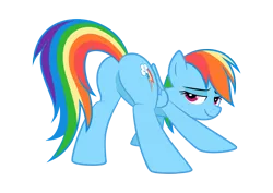 Size: 1701x1202 | Tagged: suggestive, artist:culu-bluebeaver, banned from derpibooru, deleted from derpibooru, derpibooru import, rainbow dash, pegasus, pony, bedroom eyes, butt, face down ass up, featureless crotch, female, folded wings, image, iwtcird, looking at you, looking back, looking back at you, mare, meme, plot, png, rainbutt dash, simple background, smug, solo, solo female, transparent background, vector, wings