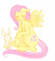 Size: 1000x1100 | Tagged: safe, artist:amnestie, banned from derpibooru, deleted from derpibooru, derpibooru import, angel bunny, fluttershy, ask lily, ask, tumblr