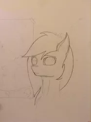 Size: 1936x2592 | Tagged: safe, artist:pyravia, banned from derpibooru, deleted from derpibooru, derpibooru import, rainbow dash, alternate hairstyle, bust, forced smile, looking at you, monochrome, pencil drawing, portrait, smiling, traditional art, wip, wonderbolts