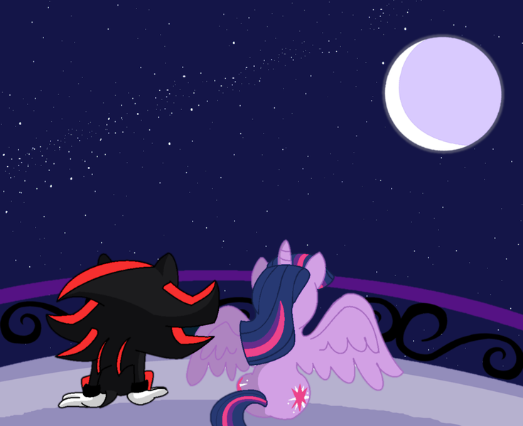 Size: 1247x1017 | Tagged: safe, artist:splinterstar, banned from derpibooru, deleted from derpibooru, derpibooru import, twilight sparkle, twilight sparkle (alicorn), alicorn, pony, crossover, female, mare, shadow the hedgehog, sonic the hedgehog (series)