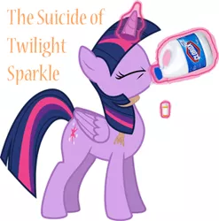 Size: 315x319 | Tagged: grimdark, artist:marnssj, banned from derpibooru, deleted from derpibooru, derpibooru import, twilight sparkle, alicorn, fanfic, bleach (detergent), commission, cover art, noose, pills, poe's law, suicide, twilight sparkle (alicorn)