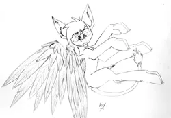 Size: 4379x3008 | Tagged: safe, artist:wingedthoughts, banned from derpibooru, deleted from derpibooru, derpibooru import, oc, oc:wingedthoughts, sphinx, :3, facial hair, fluffy, goatee, looking at you, smiling, solo, spread wings, wings