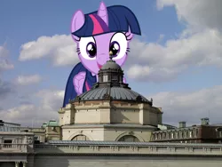 Size: 1200x901 | Tagged: safe, banned from derpibooru, deleted from derpibooru, derpibooru import, twilight sparkle, twilight sparkle (alicorn), alicorn, pony, female, giant pony, giantess, happy, library of congress, macro, solo, washington d.c.