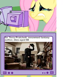 Size: 628x771 | Tagged: safe, banned from derpibooru, deleted from derpibooru, derpibooru import, fluttershy, death, discworld, exploitable meme, fluttercry, meme, obligatory pony, terry pratchett, tv meme