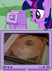 Size: 563x771 | Tagged: safe, banned from derpibooru, deleted from derpibooru, derpibooru import, twilight sparkle, exploitable meme, meme, obligatory pony, the neverending story, tv meme