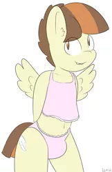 Size: 647x1000 | Tagged: suggestive, artist:lamia, banned from derpibooru, deleted from derpibooru, derpibooru import, featherweight, anthro, belly button, clothes, crossdressing, crotch bulge, cute, male, nightgown, panties, shotacon, simple background, solo, solo male, underage, underwear, white background