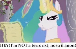 Size: 853x554 | Tagged: safe, banned from derpibooru, deleted from derpibooru, derpibooru import, princess celestia, oc, oc:anon, angry, bitchlestia, bronybait, meta, nostril anon, nostril fetish, solo, terrorist
