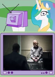 Size: 373x514 | Tagged: safe, banned from derpibooru, deleted from derpibooru, derpibooru import, princess celestia, clothes, exploitable meme, joe allen, mark hamill, meme, obligatory pony, prison outfit, the flash, trickster, tv meme